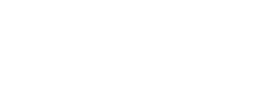 Synota Logo