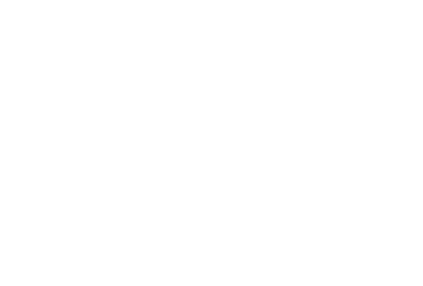 Synota Logo Cutoff